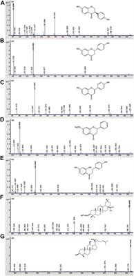 In Vitro Biotransformation of Total Glycosides in Qiwei Baizhu Powder by the Gut Microbiota of Normal and Diarrheal Mice: Novel Insight Into the Biotransformation of Multi-Glycosides by the Gut Microbiota 